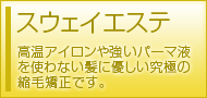 �X�E�F�C�G�X�e