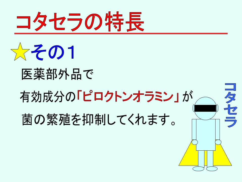 美しい髪質は健康な頭皮から